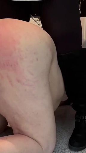 Domladymia - Slaveofm - Suffering Marathon for the Slave - Full Length