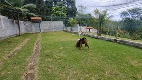 Weight of Destiny Full