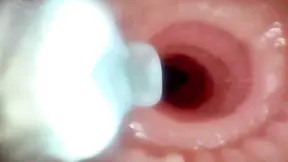 Endoscope reveals wife's tight pussy and ass