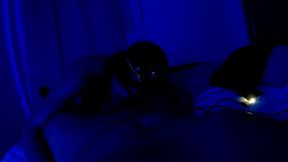 La gatita nocturna tiene hambre y se desvela