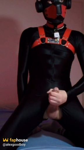 Needy Puppy Jerks His Cock on His Knees
