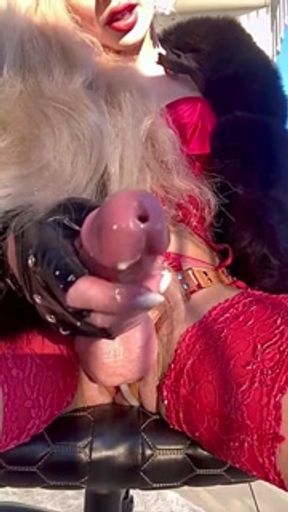 TOP Fur Dick Cum into YOUR MOUTH CEI JOI