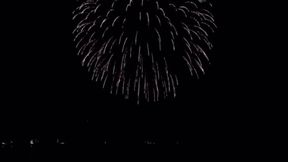🎆