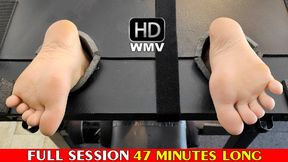 LEXIE'S BARE FEET TICKLING EXPERIENCE FULL SESSION - HD WMV