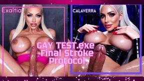 GAY TEST.exe. Final Stroke Protocol.