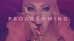 Pink Passion Candy Cane Programming Loop HD