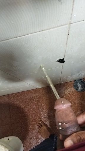 Penis pissing , male organ pissing, pierced cock