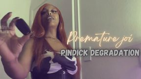 Premature JOI Pindick Degradation