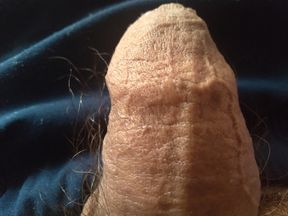 masturbation with a hard cock in the privacy of one's home