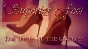 The shoes of the Goddess