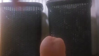 Ung amatør teenagers hjemmelavede solovideo af dildo anal onani