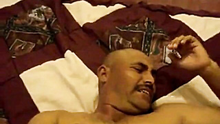 Oso rudo llora como un bebé cuando le dan una buena cogida por el rump.