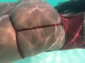 Fred and Wilma ON the RUN 2