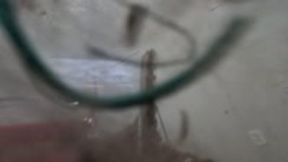 sucked into vacuum pov 1080