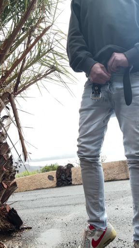 Nice piss in the afternoon