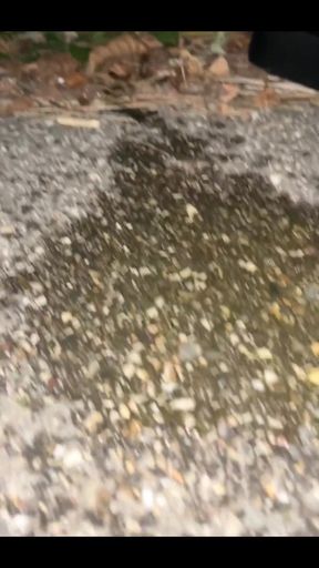 Panty Nectar for You