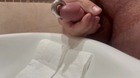 Meatotomy pierced cock apadravya cum masturbation