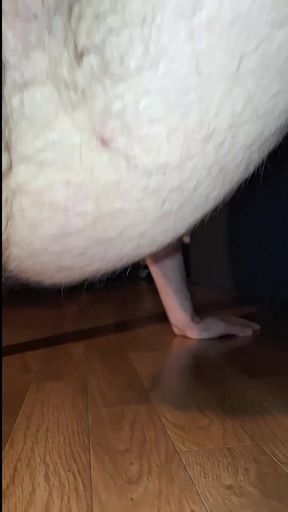 Floppy Cock In Your Face 2 Short