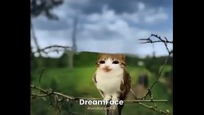 No s&eacute_
