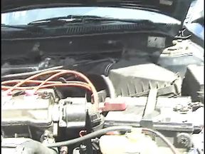 AFRICAN Huge Cocks - vol. #07