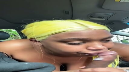 Swallow:  Her Google drive folder, 1223 videos =  https://rentry.co/rtwknuob