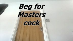 Beg to be pegged by Masters cock