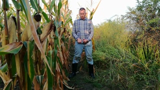 The farmer pees several times in different places in the field