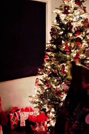 How the Grinch Fucked Christmas