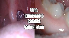 Dual endoscopic camera mouth tour - OnlyVanessa