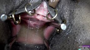 the kinky slut queen  dark dea  the kinky slut queen  dark dea  rides the huge  centaur xl  filling her pussy with lots of yellow cum part.3/3  hankey stoys&quo