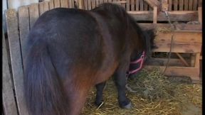 Dirty and unleashed mature gets ass fucked by the farmer