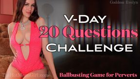 V-Day 20 Questions Challenge
