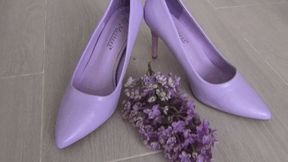 Trampled a lilac branch a