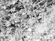 ⛔💀☠️☢☣⛔Llego el Apocalipsis Zombie 🧟‍♂️Logre Escapar y Se Me Ocurrio Masturbarme Rapido!