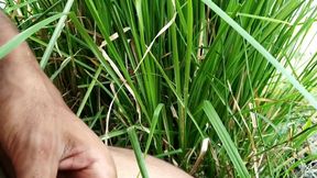 Masturbation on Field in Outdoor Indian Handjob