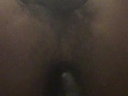Perfect Puss