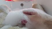 Warm Water, Thick Foam — Unscripted Solo Session