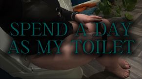 Spend a day as my toilet POV