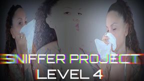 Sniffer Project Level 4