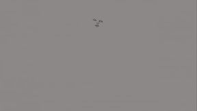 Young Goblin Gets Smashed By A LITERAL IGUANA!!!!