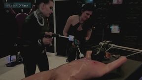 Lady Zara Miss Alessa Milano CBT and Tickling with Metal Claw and Toiletbrushes by Double Femdoms WMV