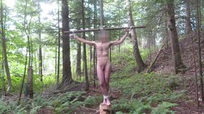 Crucified By My Fans In The Forest