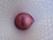 Vue de l'intérieur d'un Fleshlight
