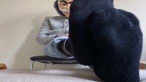 Masterw0lfies Feet Joi Tease I