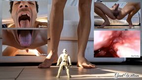 William swallows his shrunken coach