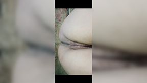 Indian Desi