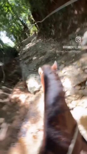 Curvy blonde pro takes a wild ride on her horse during a thrilling
