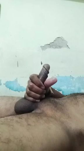 Desi land