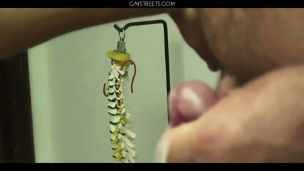 Brice Visits With Dr Mugs  Brazil