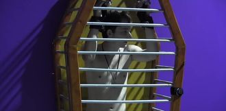 Caged boy is ready to receive is dirty sexual punishment